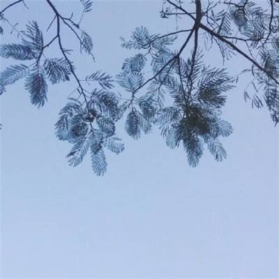 九游寸土必争手机版下载